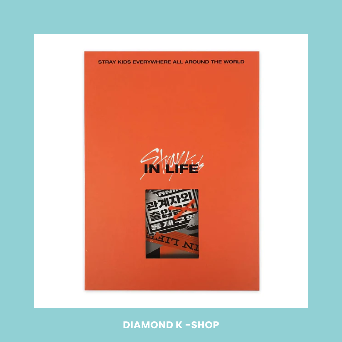 STRAY KIDS - IN Life