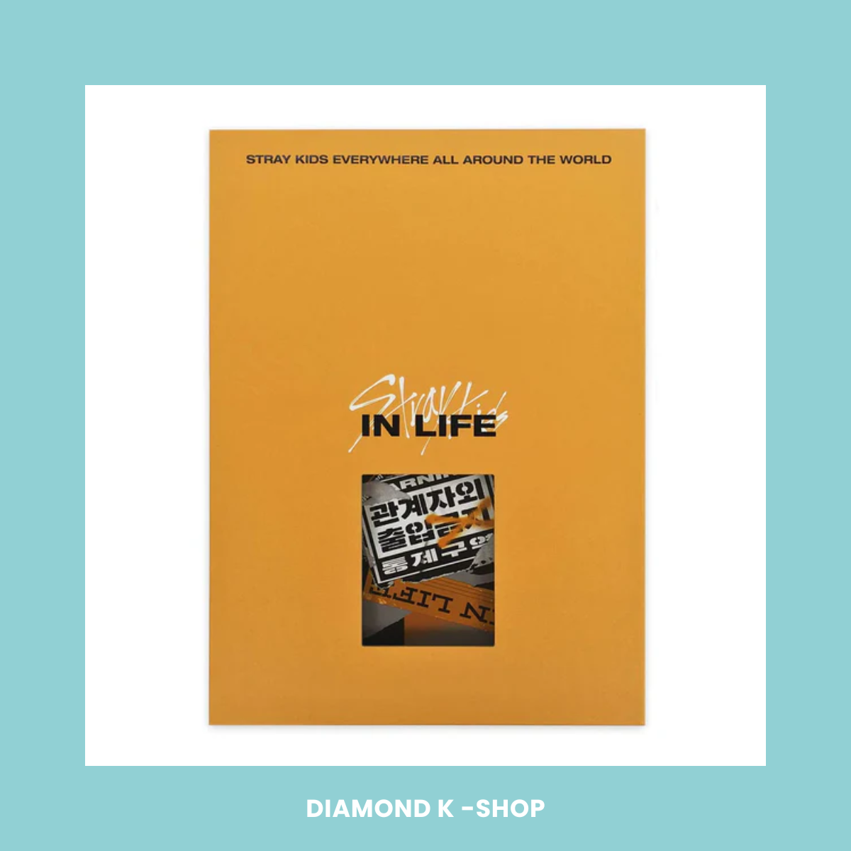 STRAY KIDS - IN Life