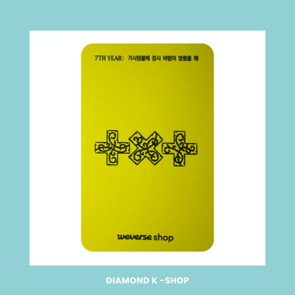 POB: TXT - 7TH YEAR: A Moment of Stillness in the Thorn (Weverse)