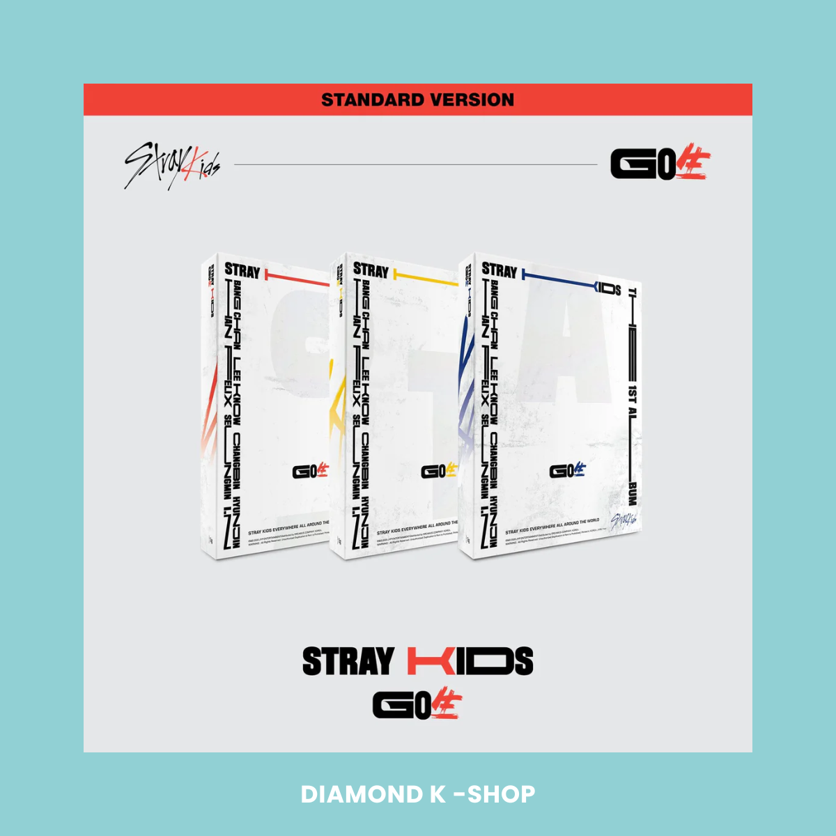 STRAY KIDS - GO Live